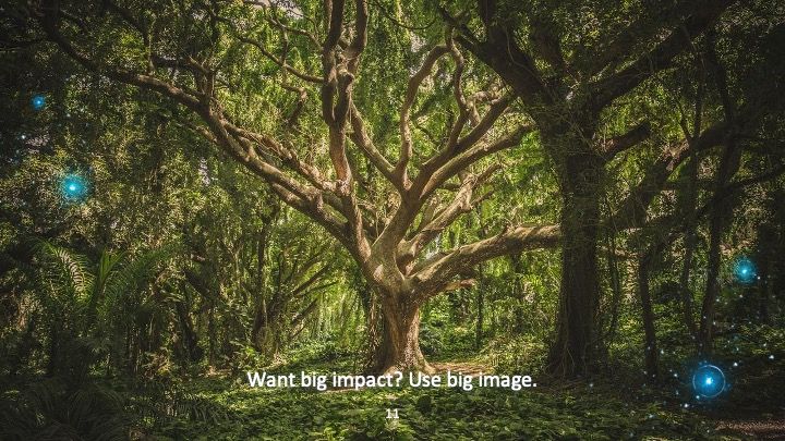 아름다운 마법의 숲 배경으로 디자인된 영감을 주는 디자인 (일러스트: Alex Monge) - slide 9