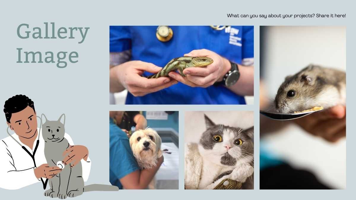 Clínica veterinária ilustrativa em verde suave e pastel - slide 9