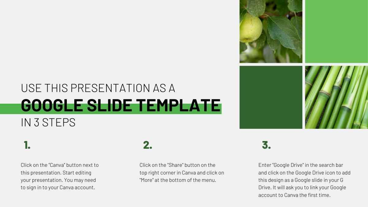 Modern Organic Food Pitch Deck - slide 3