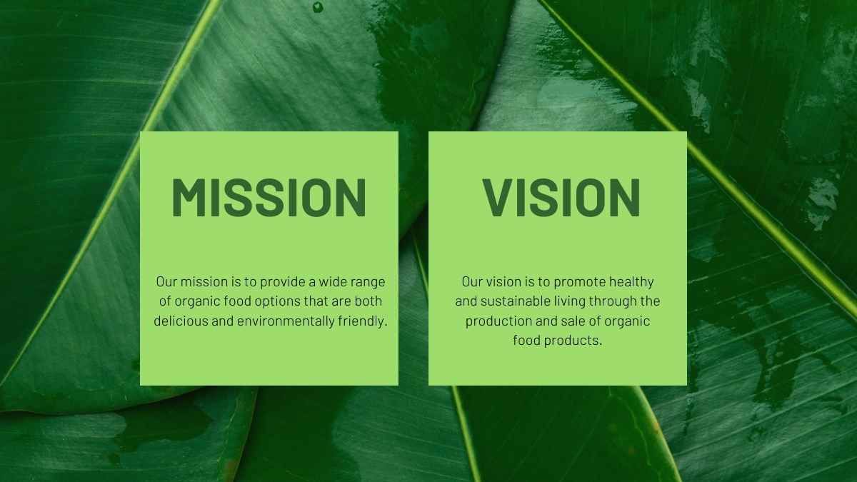 Presentación moderna de propuesta comercial de comida orgánica - slide 8