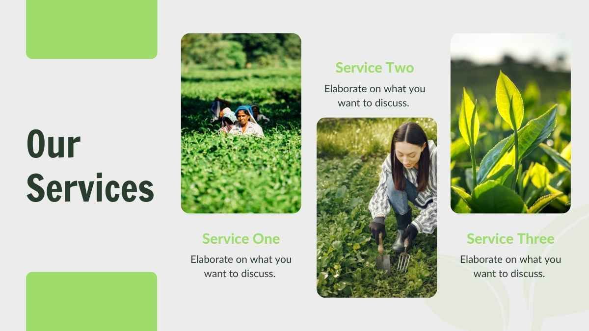 Presentación minimalista de plan de negocio agrícola - diapositiva 9