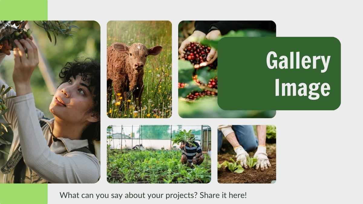 Presentación minimalista de plan de negocio agrícola - slide 12