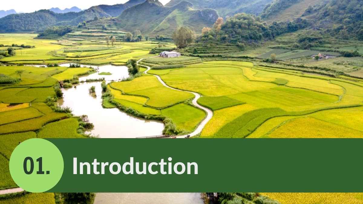 Apresentação do plano de negócios agrícola e minimalista - slide 3