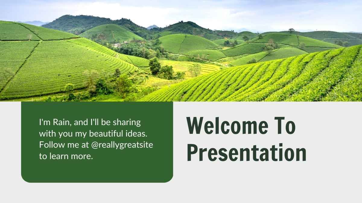Apresentação do plano de negócios agrícola e minimalista - slide 4