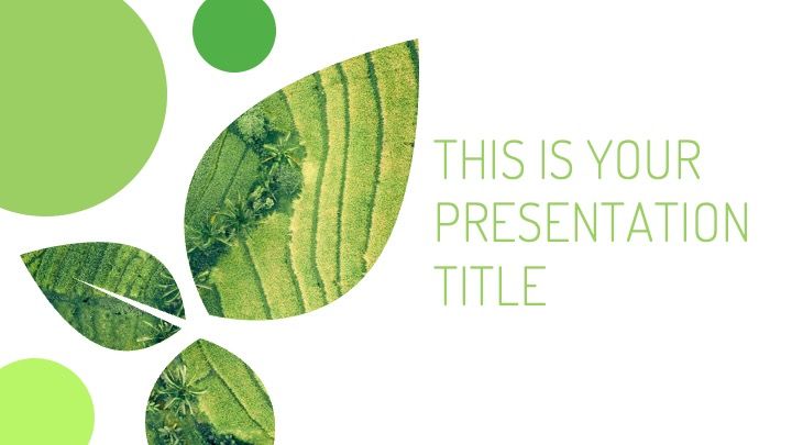 Plantilla para presentación de medioambiente con hojas - diapositiva 0