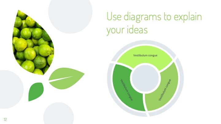 Plantilla para presentación de medioambiente con hojas - diapositiva 11
