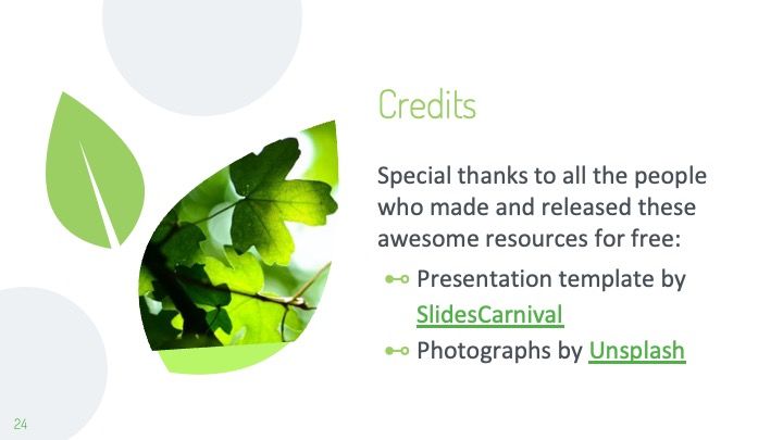 Plantilla para presentación de medioambiente con hojas - diapositiva 23