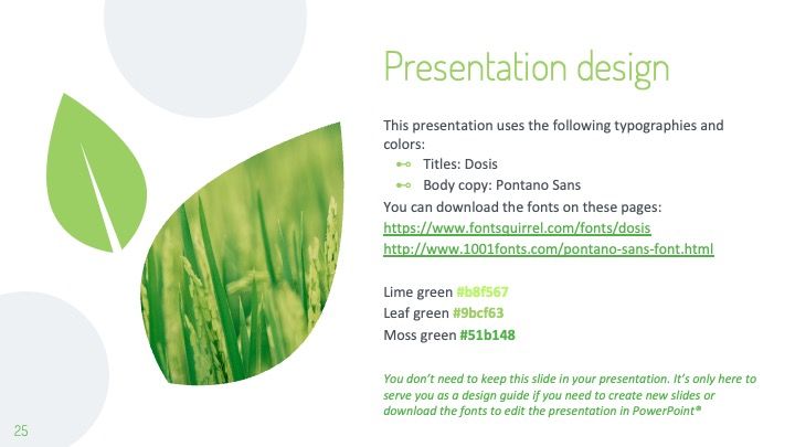Plantilla para presentación de medioambiente con hojas - diapositiva 24