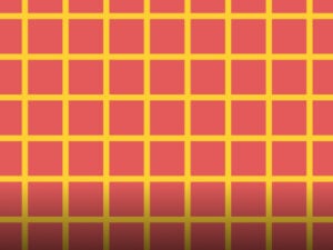 Explainer Infographics