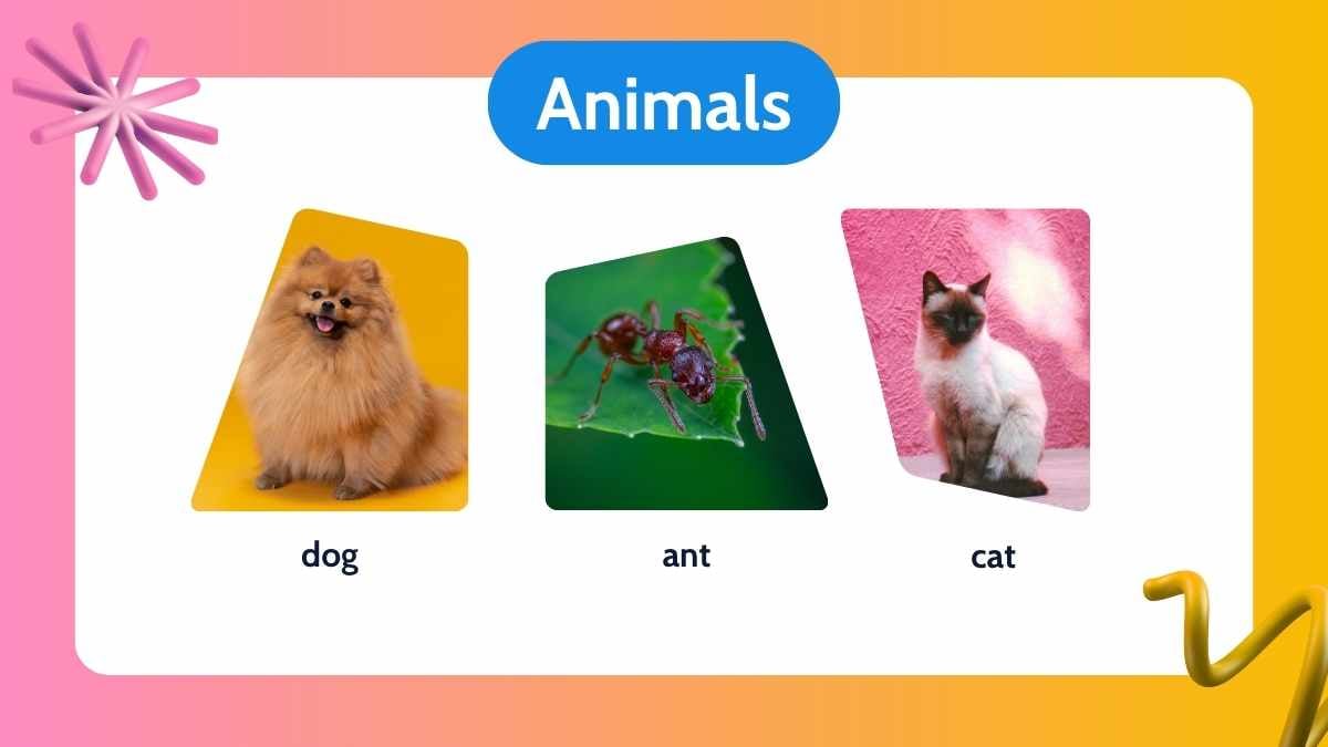 3D Noun Slides for Grade 1 - slide 6