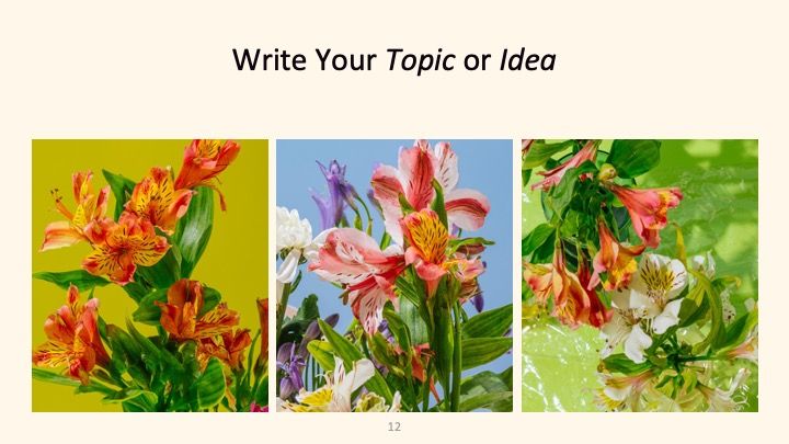 素晴らしい植物学 - slide 11