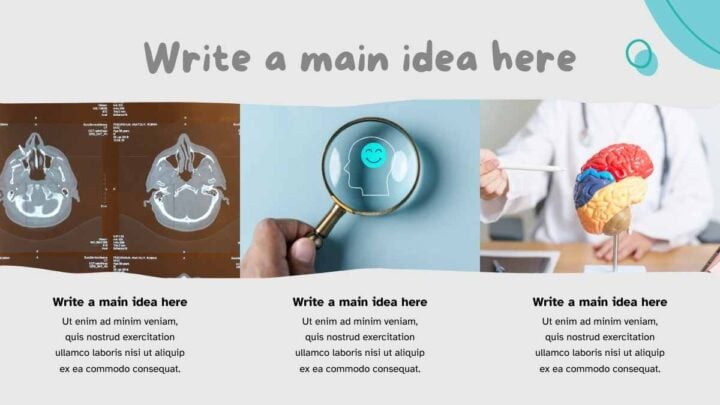 Anatomy of Nervous System. Free Slides Template — SlidesCarnival