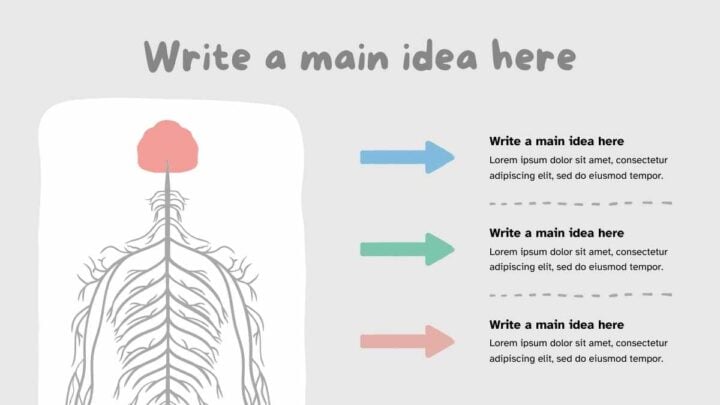 Anatomy of Nervous System. Free Slides Template — SlidesCarnival