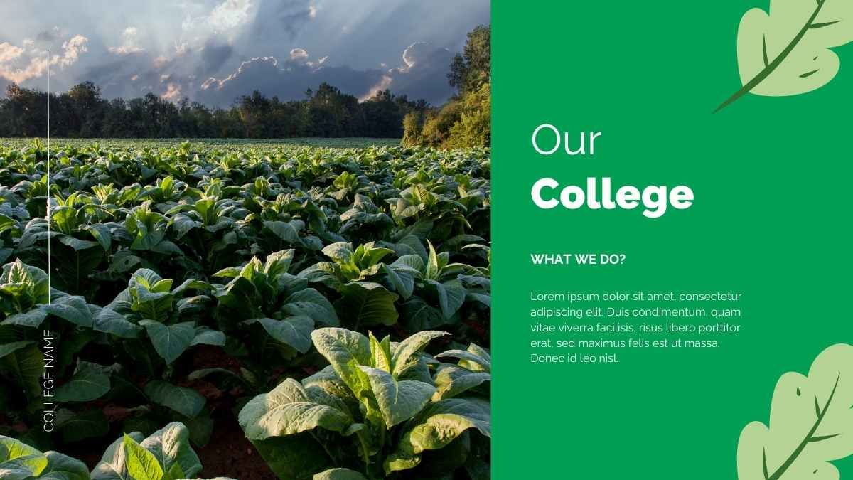 대학에서 농업 전공: 환경 과학 - slide 6