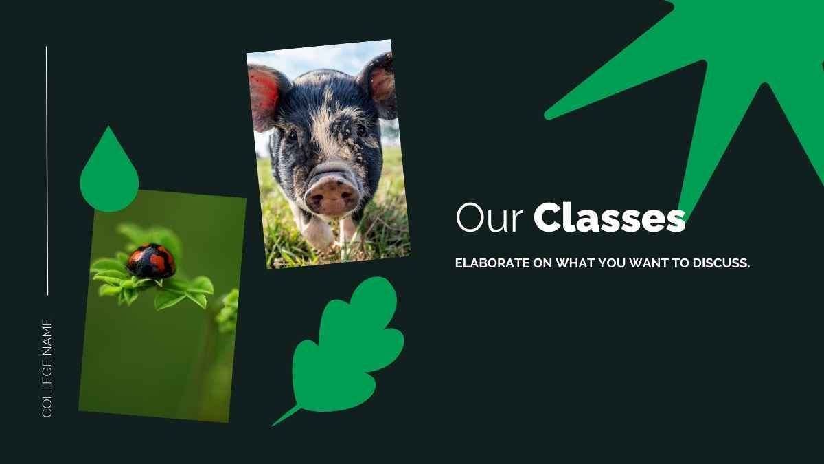 대학에서 농업 전공: 환경 과학 - slide 7