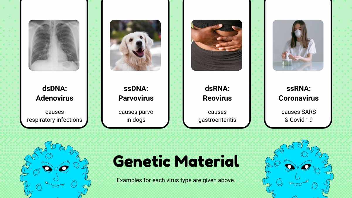 Bacteria and Viruses Lesson for Elementary - slide 10