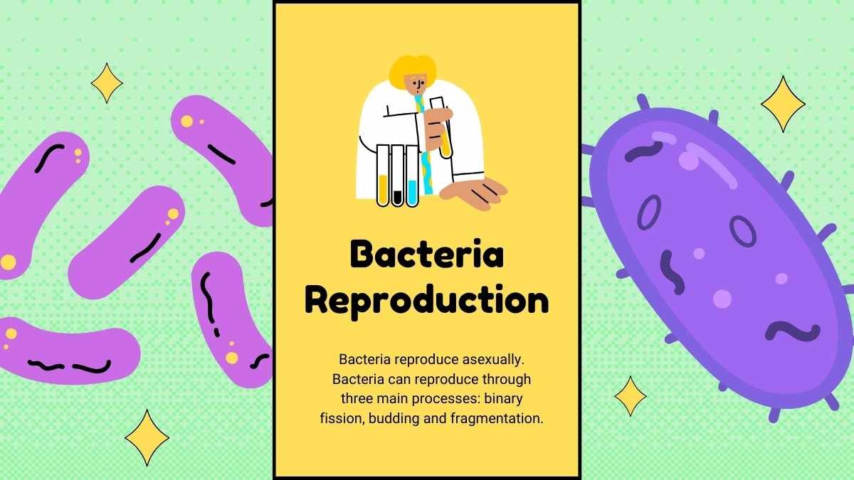 Aula sobre bactérias e vírus para o ensino fundamental - slide 12
