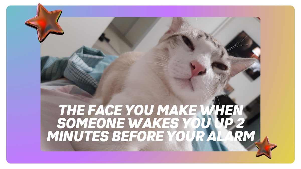 Best Memes of the Year Presentation - slide 8