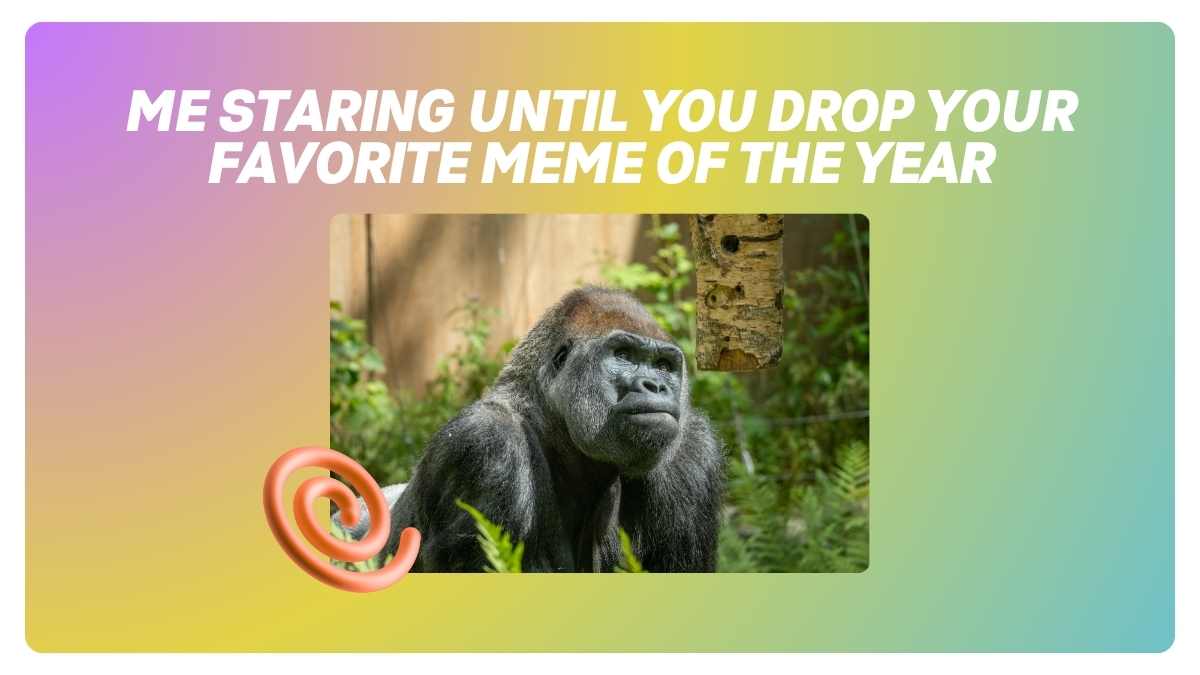Best Memes of the Year Presentation - slide 9
