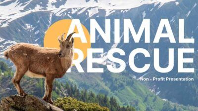 Minimal Animal Rescue Presentation