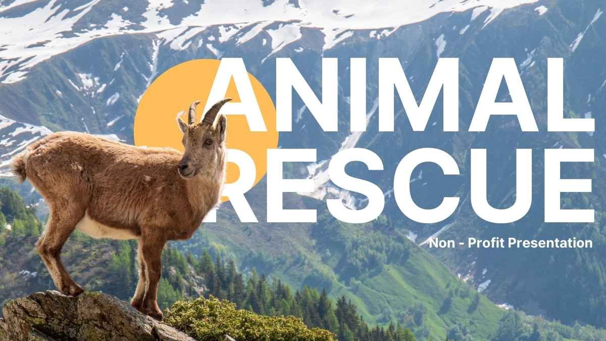 Rescate Animal Minimalista - diapositiva 0
