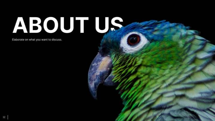 Minimal Animal Rescue. Free PPT & Google Slides Template — SlidesCarnival
