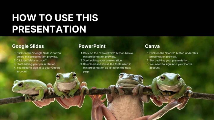 Minimal Animal Rescue. Free PPT & Google Slides Template — SlidesCarnival