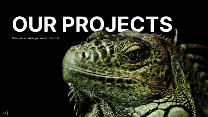 Minimal Animal Rescue. Free PPT & Google Slides Template — SlidesCarnival