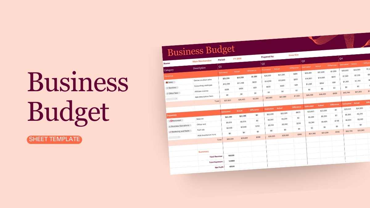 Business Budget Sheet - slide 1
