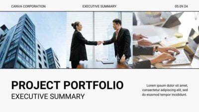 Clean Minimal Project Portfolio Executive Summary Slides