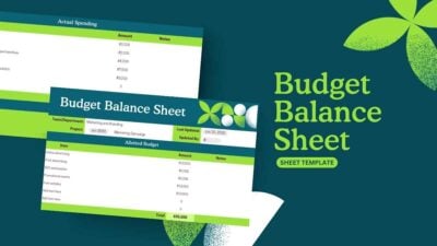 Cool Budget Balance Sheet