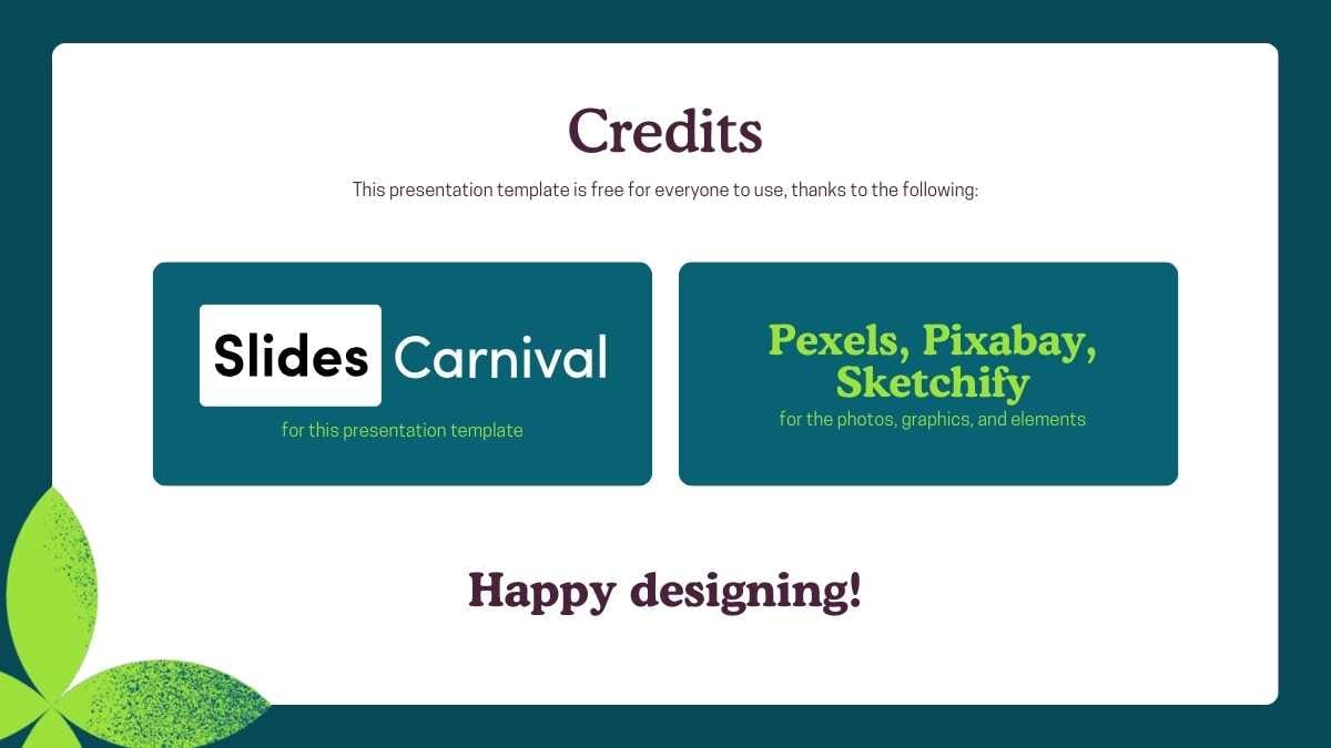 Cool Budget Balance Sheet - slide 2