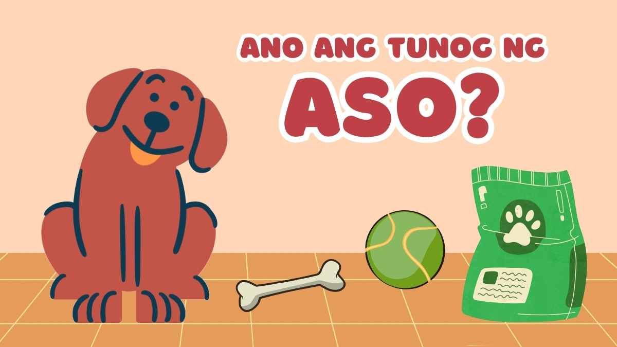 Quiz animado e fofo Ano ang mga Tunog ng Hayop - slide 5