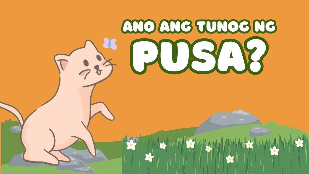 Quiz animado e fofo Ano ang mga Tunog ng Hayop - slide 6