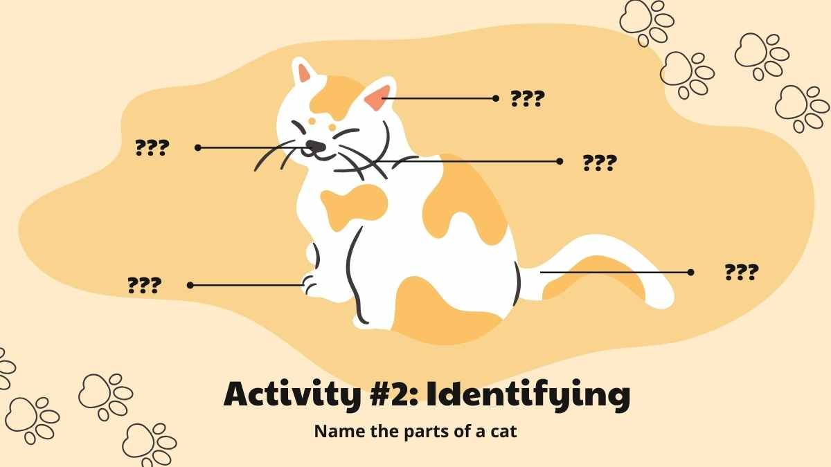 귀여운 고양이 활동 레슨 계획 - slide 8