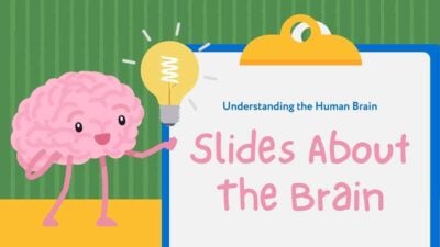 Cute Illustrated Slides About The Brain