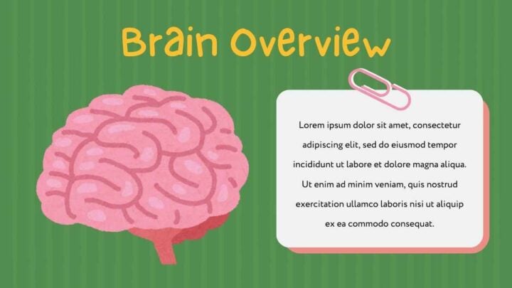 Slides About The Brain. Free Slides Template — SlidesCarnival