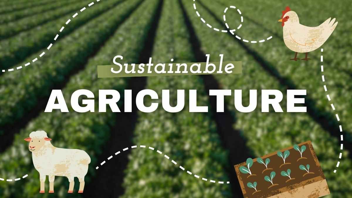 Agricultura sostenible con bonitas ilustraciones - diapositiva 0