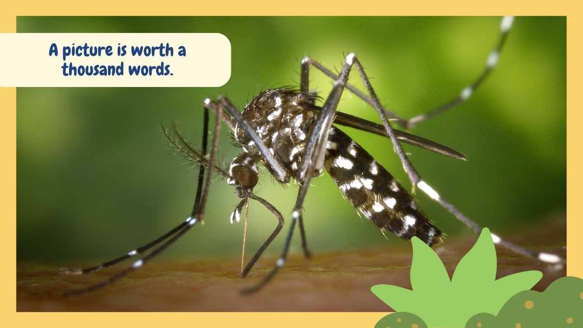 귀여운 삽화가 돋보이는 세계 말라리아의 날 - slide 8