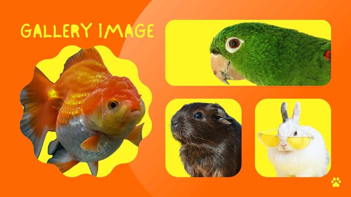 Cute International Pet Day - slide 9
