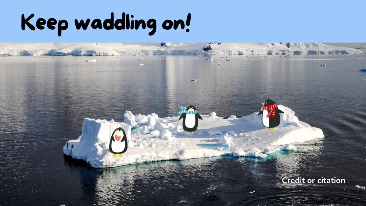 Cute Penguin Background Slides - slide 13