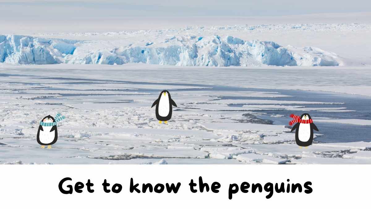 Cute Penguin Background Slides - slide 5