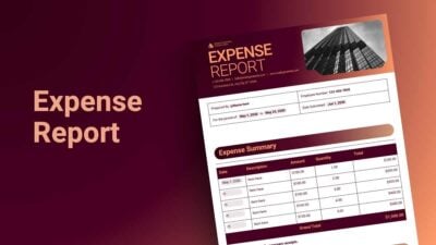 Elegant Expense Report Doc