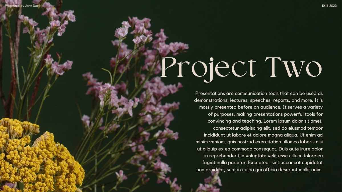 Presentación de la Reunión Floral Elegante - diapositiva 10