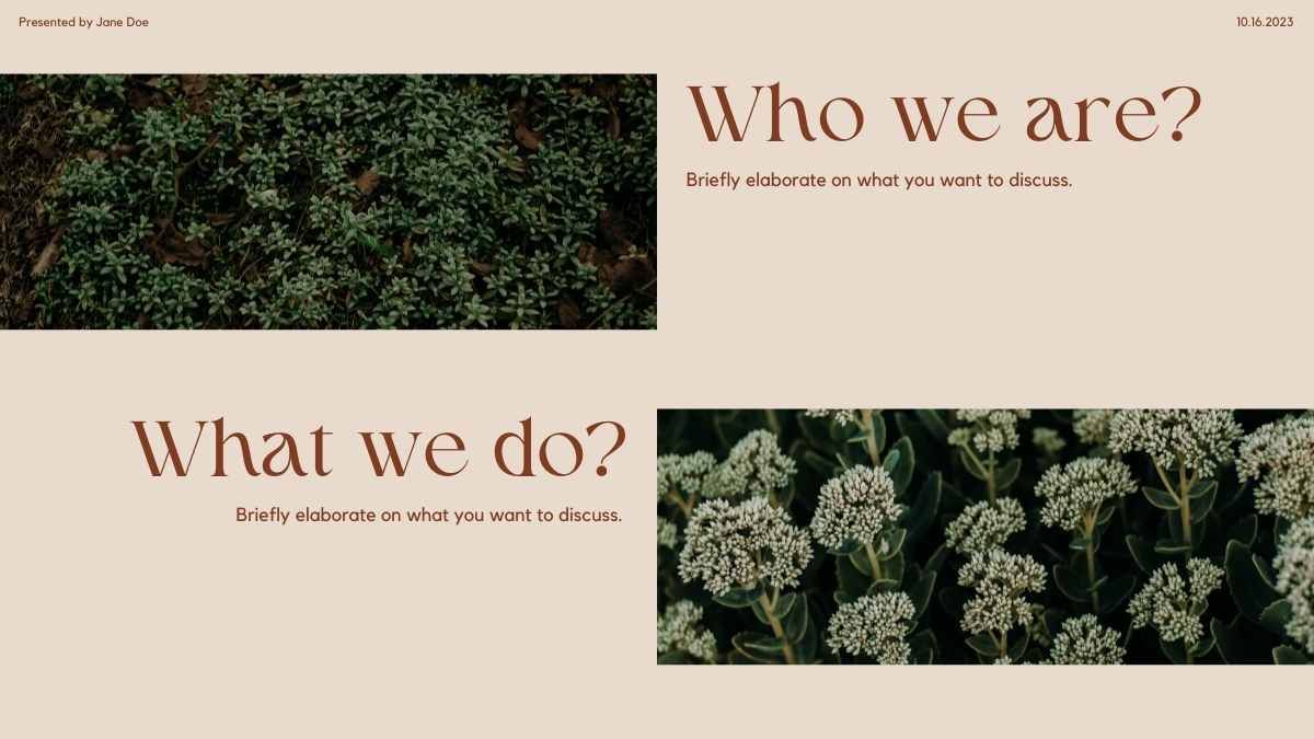 Presentación de la Reunión Floral Elegante - diapositiva 5