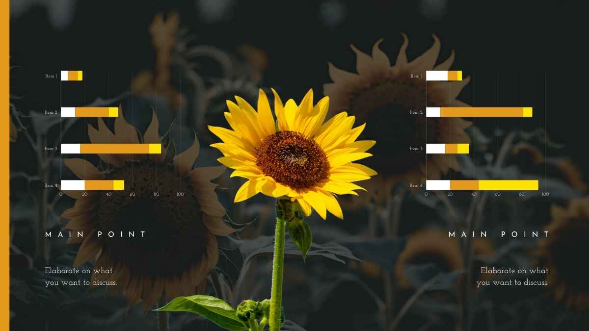 Slide dengan Bingkai Elegan - slide 12
