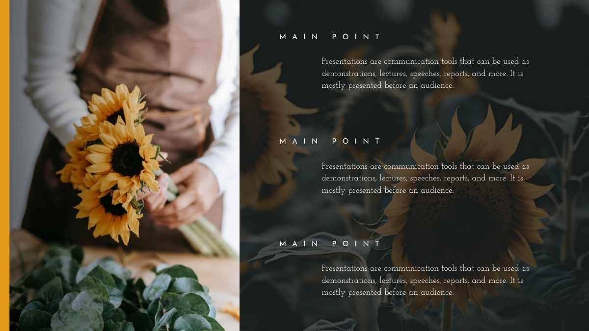 Slide dengan Bingkai Elegan - slide 7