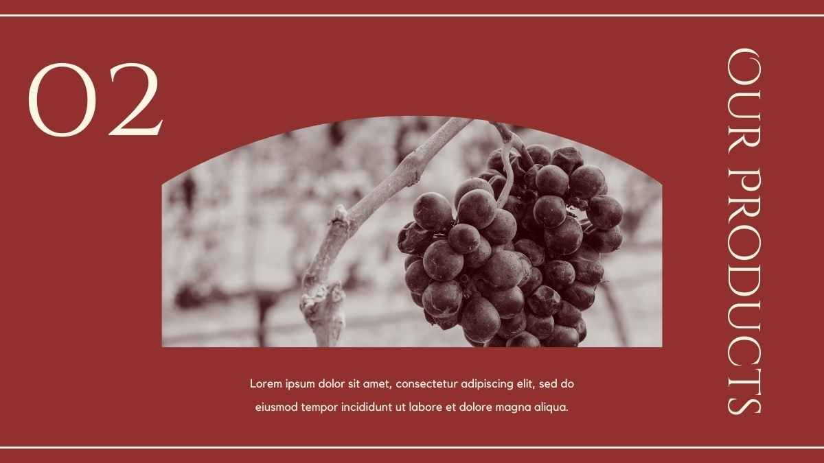 Catálogo de degustação de vinhos vintage elegantes - slide 7