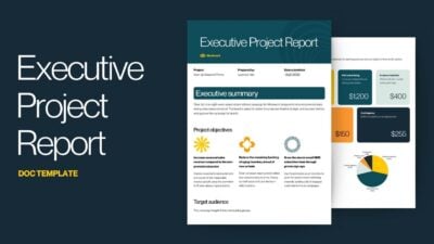Executive Project Report Doc
