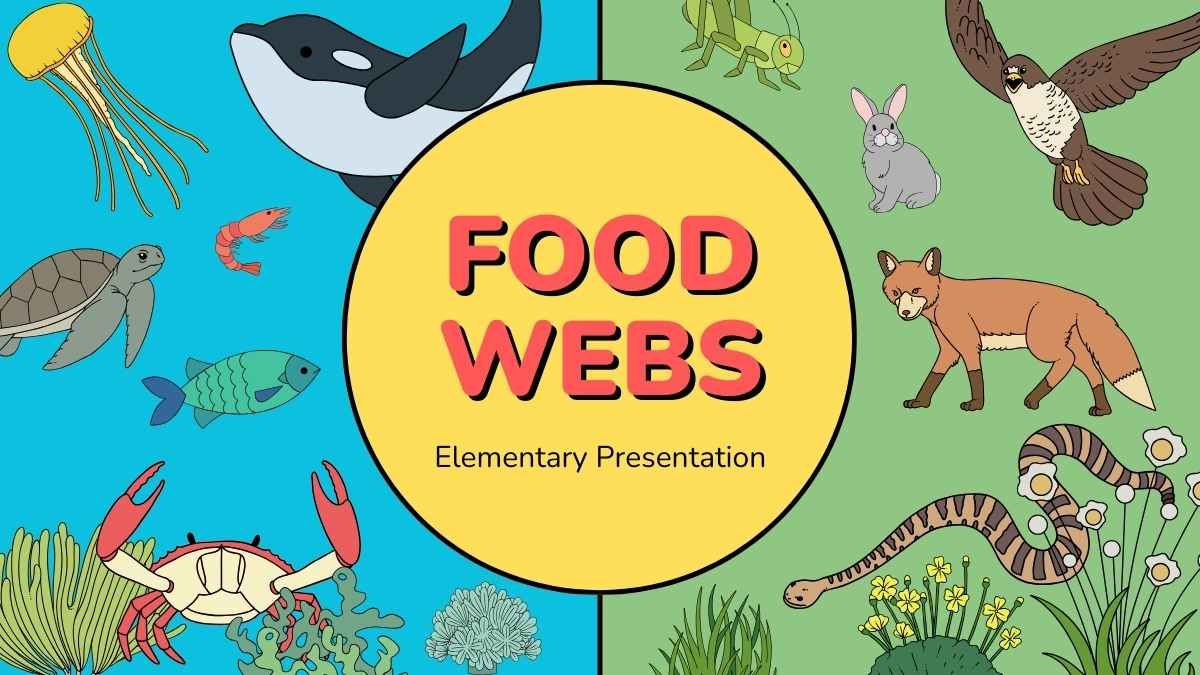 Lição sobre teias alimentares para o ensino fundamental - slide 0